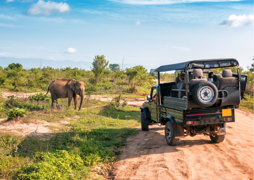 agence safari en Tanzanie Prix safari Tanzanie