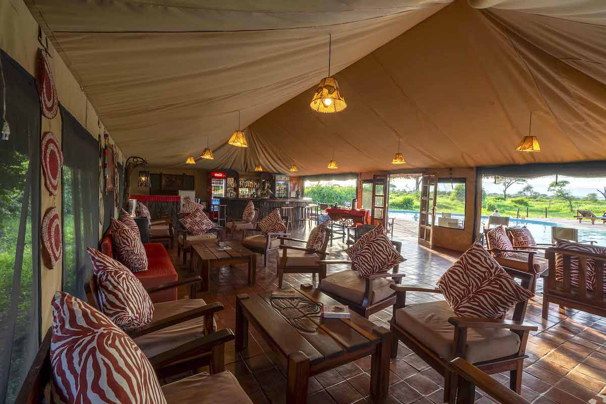 Simba Safari Lodge pendant un safari Tanzanie 6 jours