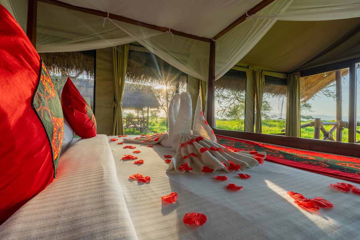 Karatu Simba Lodge pendant un safari Tanzanie 6 jours