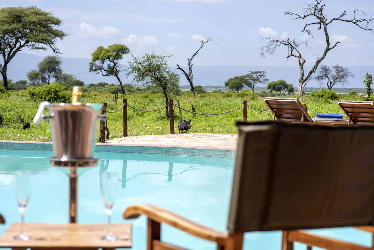 safari Tanzanie 5 jours dans le parc national de Tarangire