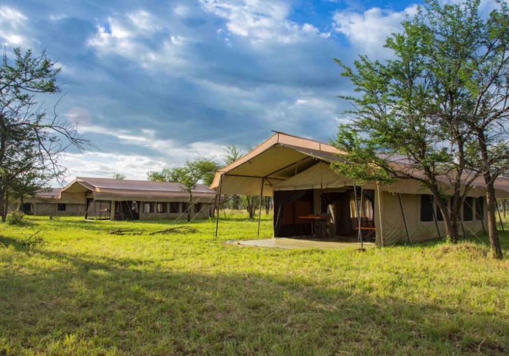 Agence safari Tanzanie Hotel