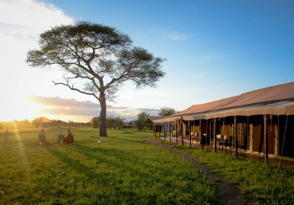Agence safari Tanzanie Logements