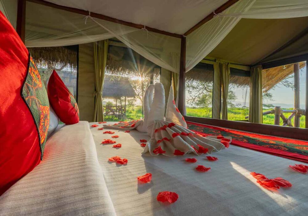 Agence safari Tanzanie Hotel