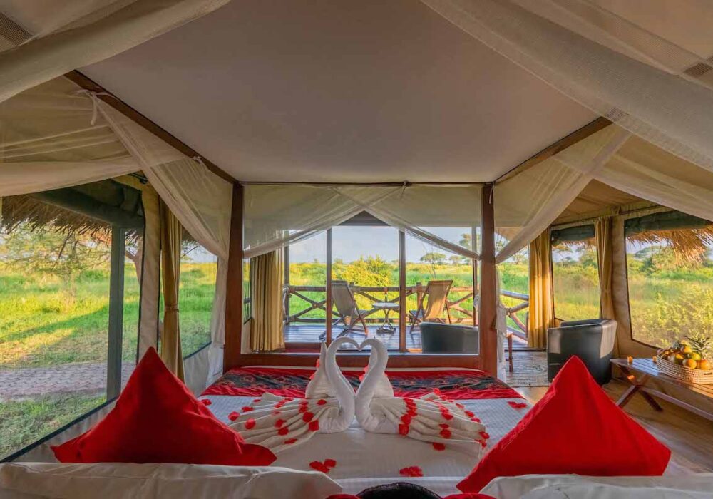 Agence safari Tanzanie Logement