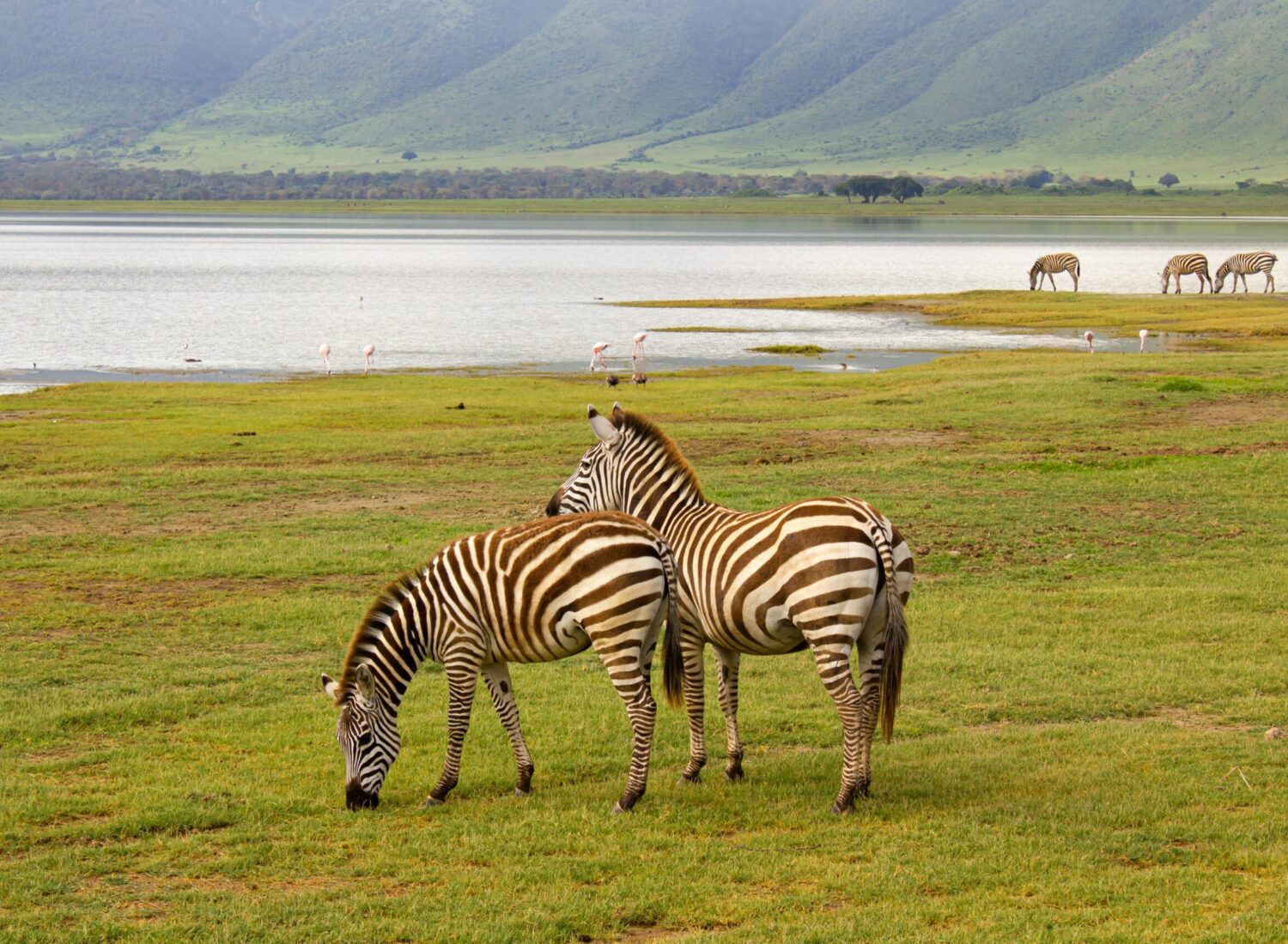 pexels-photo-25950512-25950512 safari tout compris en Tanzanie safari tanzanie agence Destinations Safari Tanzanie
